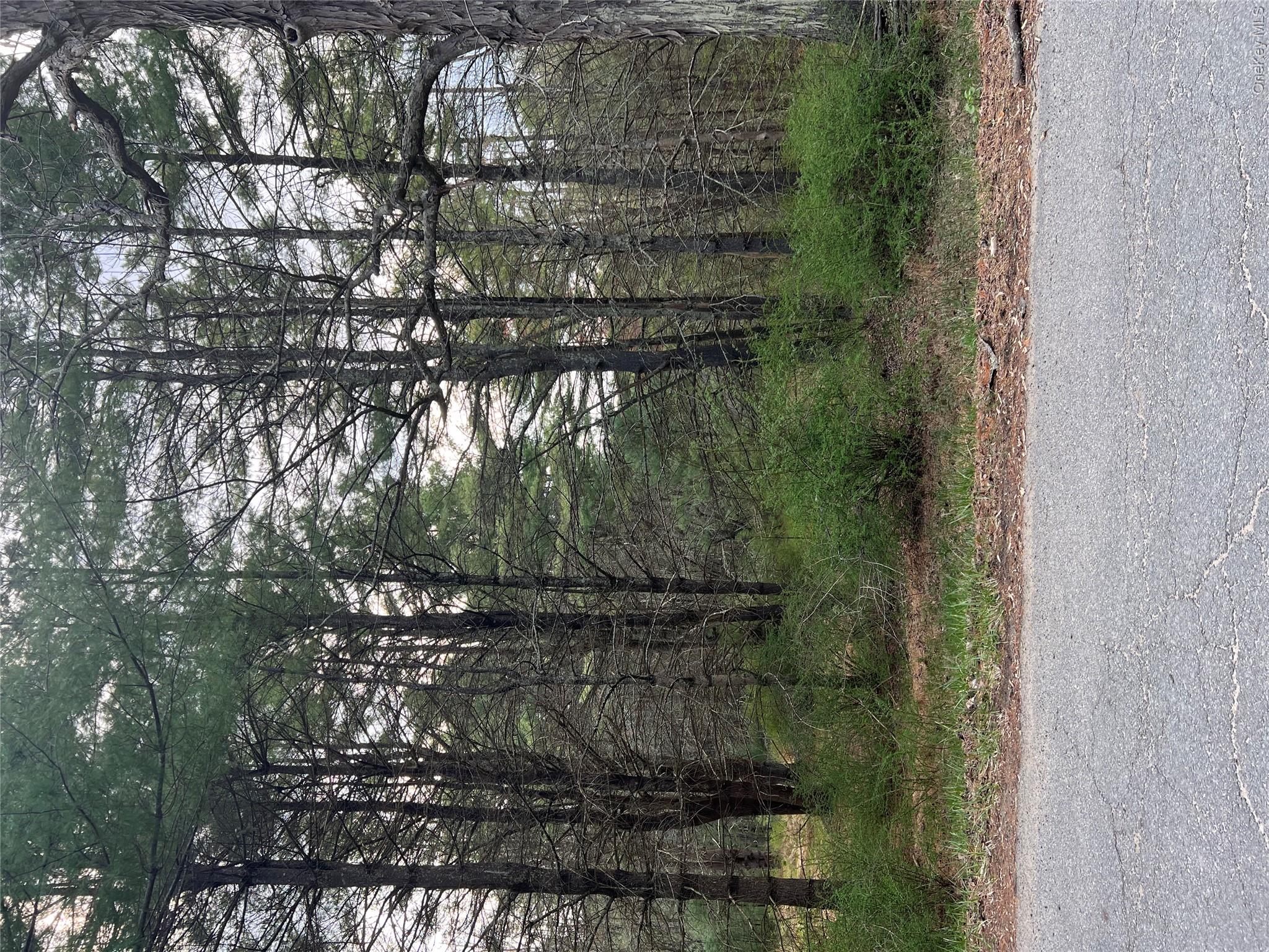 00 Upper Pine Kill Road Property Photo 1