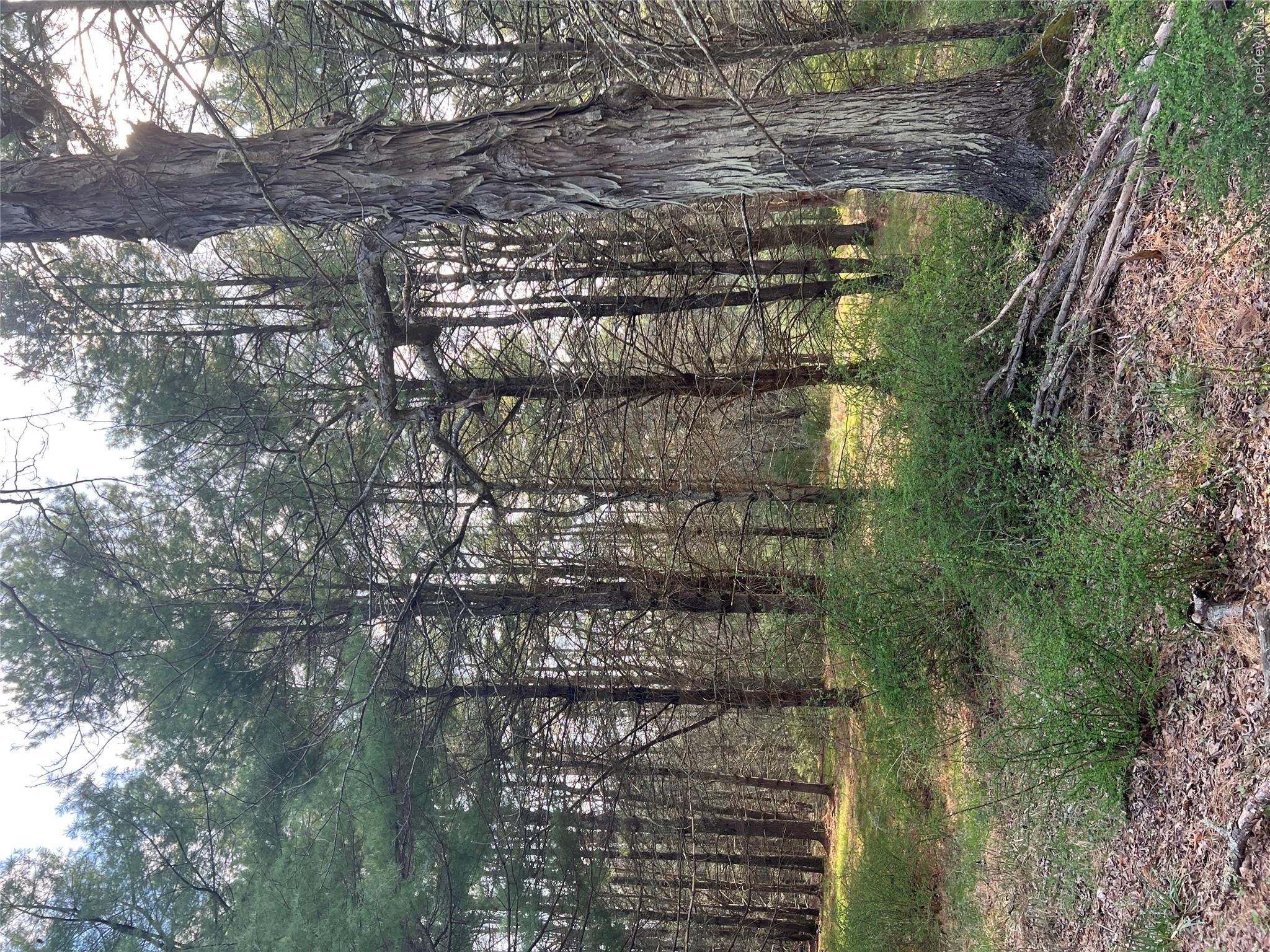 00 Upper Pine Kill Road Property Photo 2
