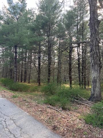 00 Upper Pine Kill Road Property Photo 3