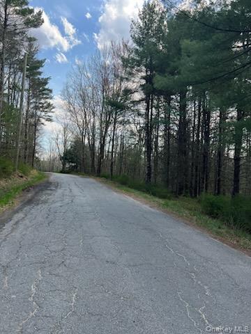 00 Upper Pine Kill Road Property Photo 4