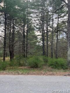 00 Upper Pine Kill Road Property Photo 5