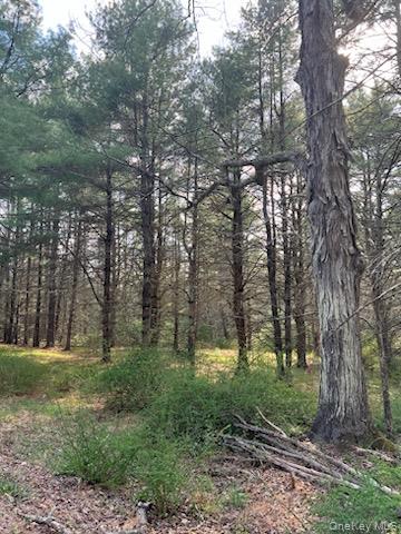 00 Upper Pine Kill Road Property Photo 6