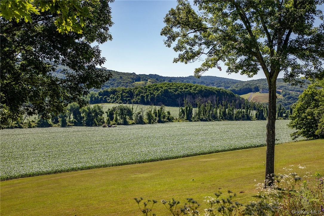 617 Bean River Road Property Photo 34