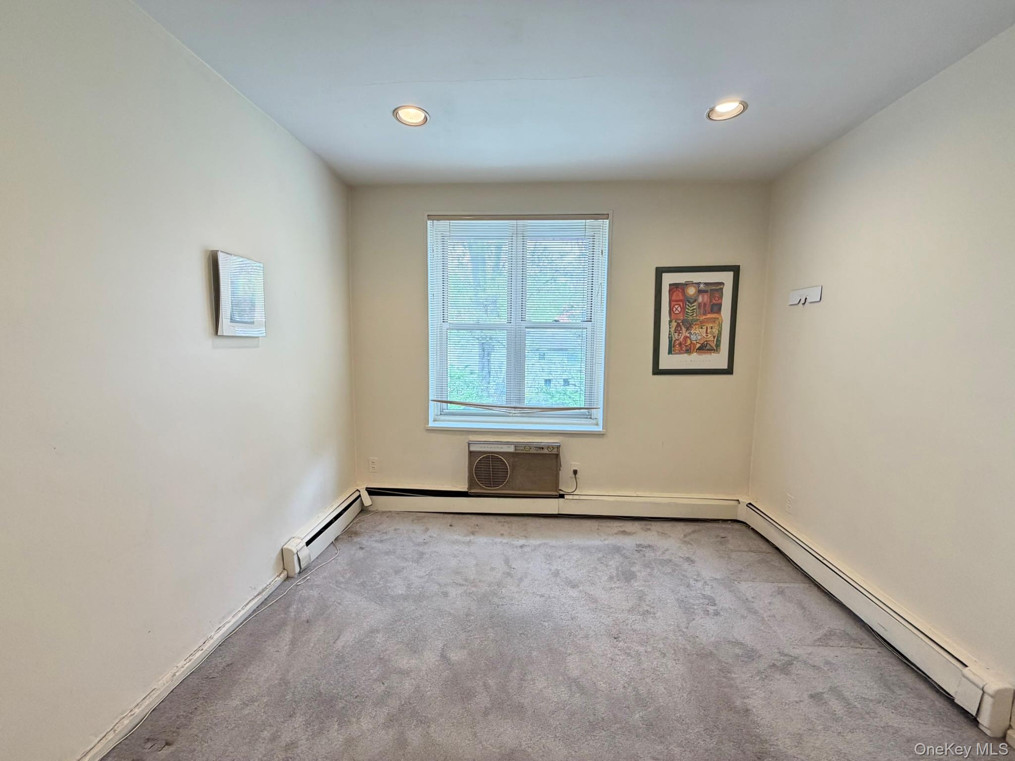 185 S Middle Neck Road 3g Property Photo 8