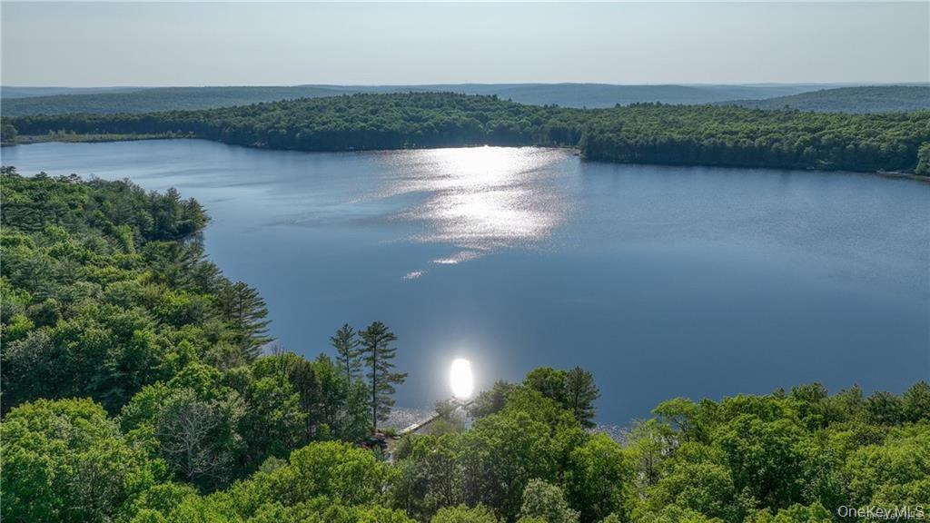 York Lake Estates Road Property Photo 3