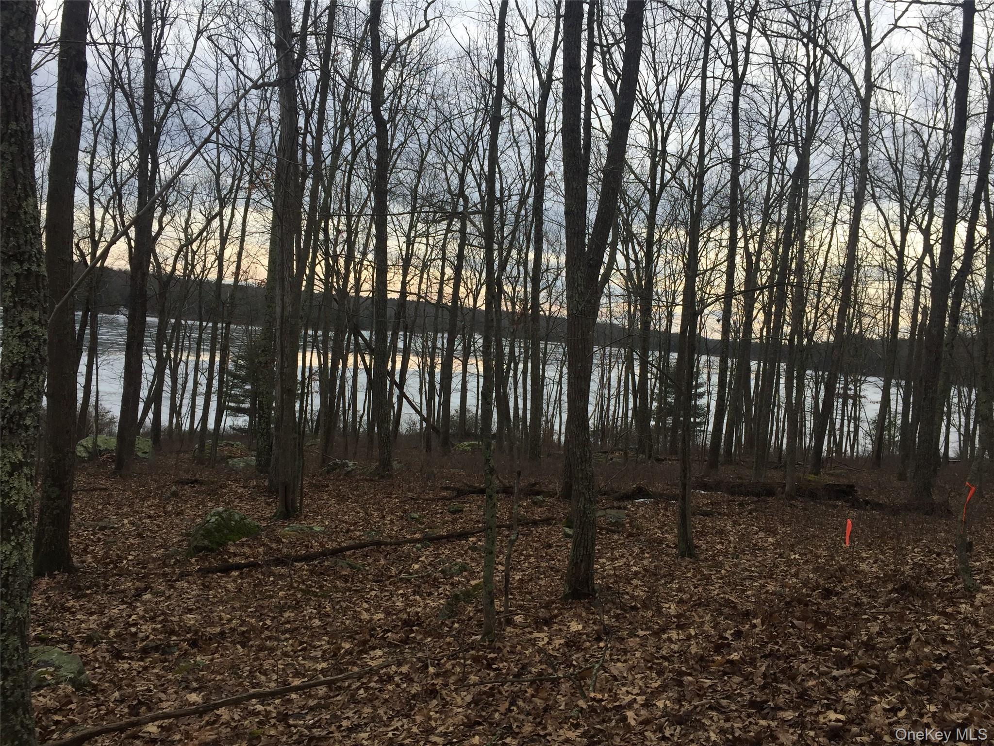 York Lake Estates Road Property Photo 7