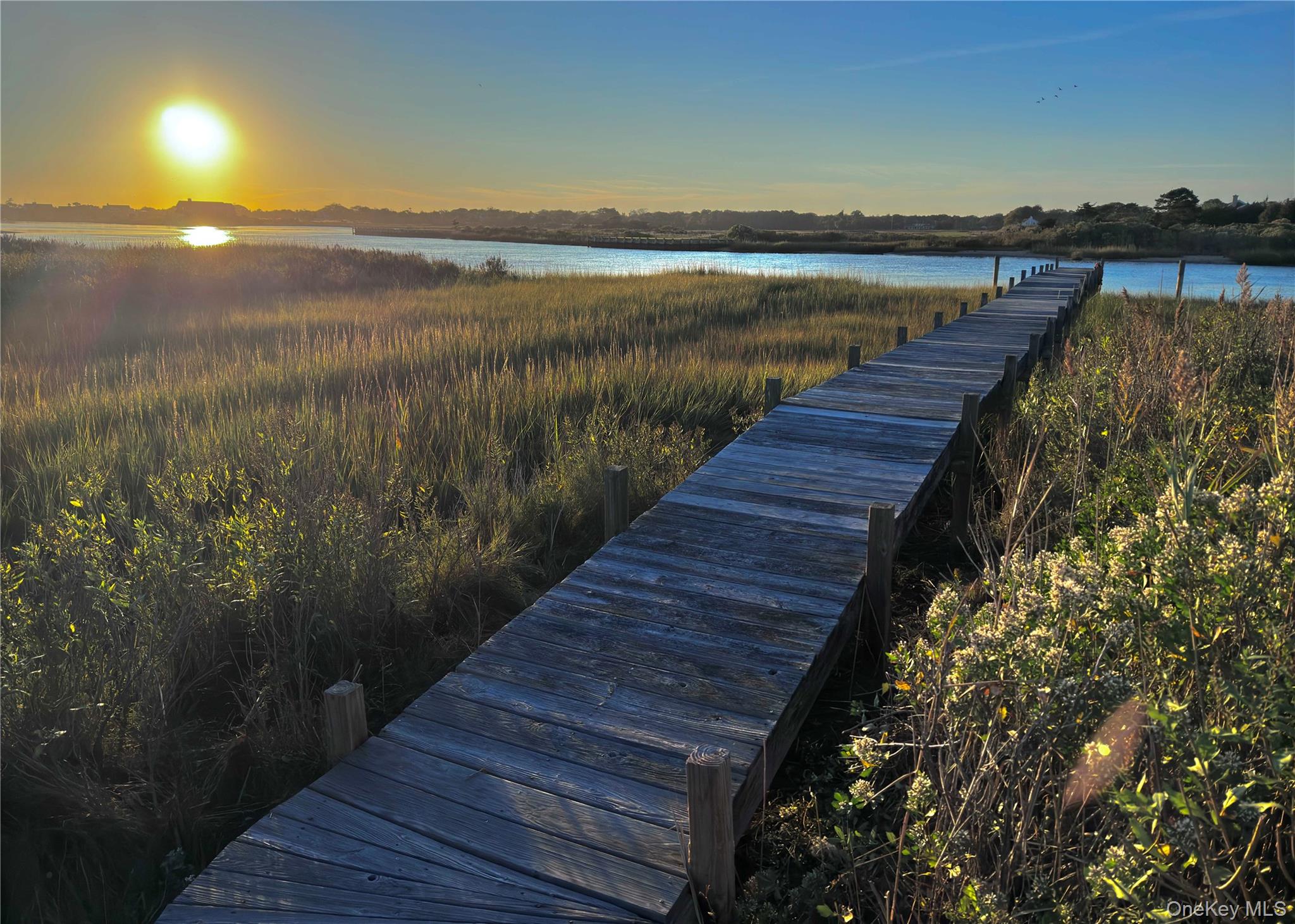 162 Dune Road Property Photo 23