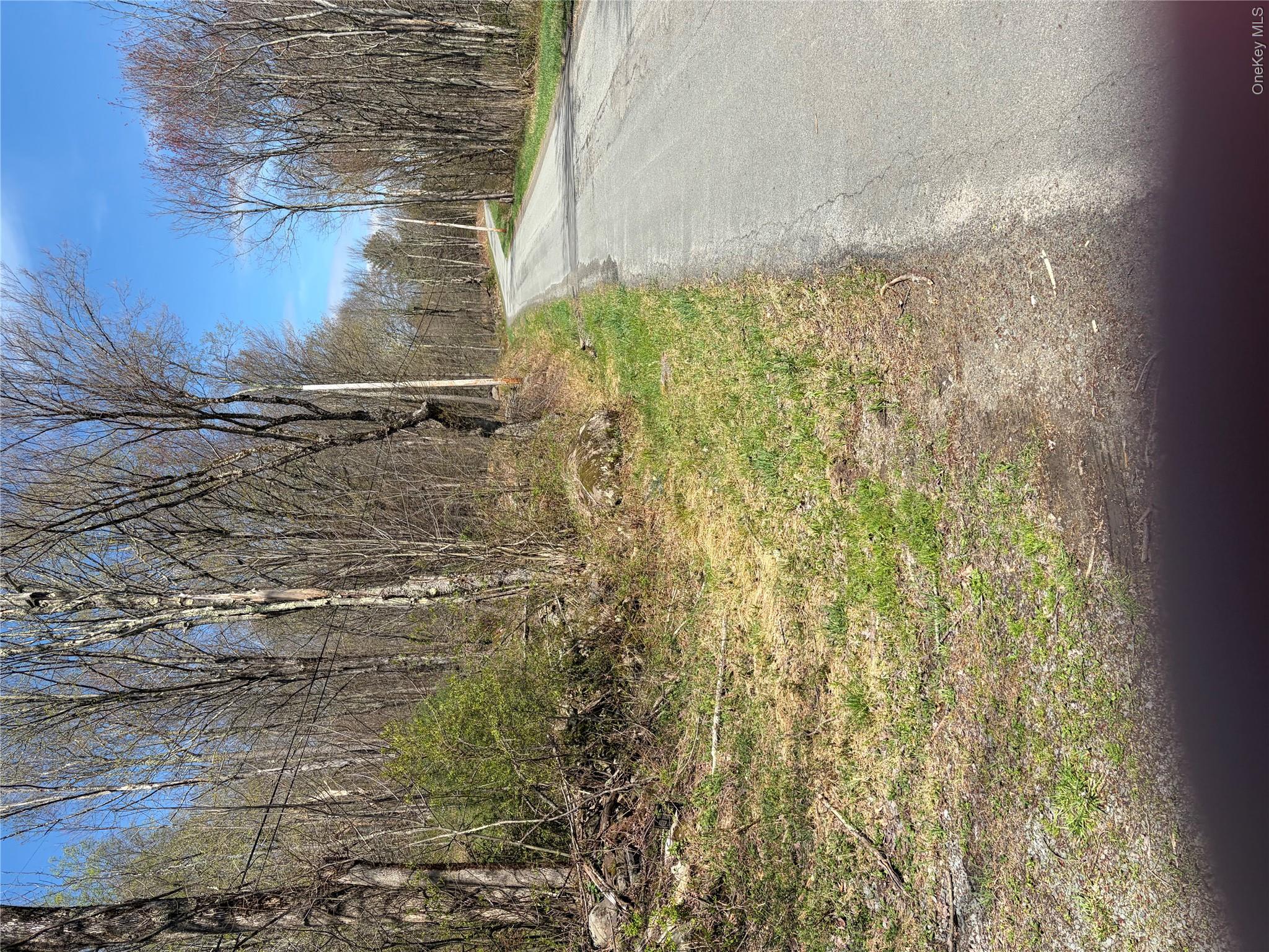 209 Stream Hollow Property Photo 1