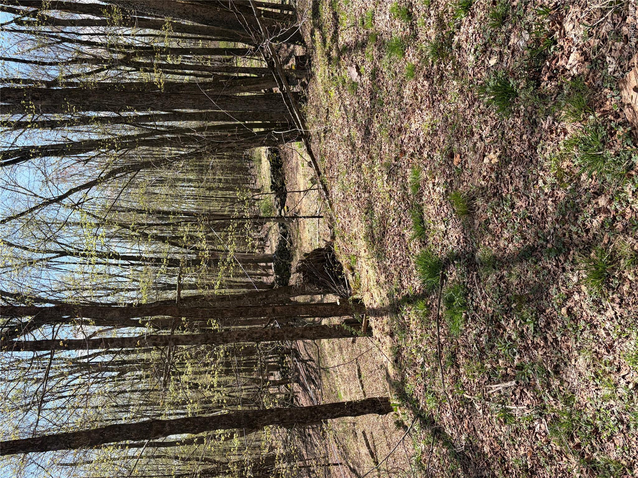 209 Stream Hollow Property Photo 4