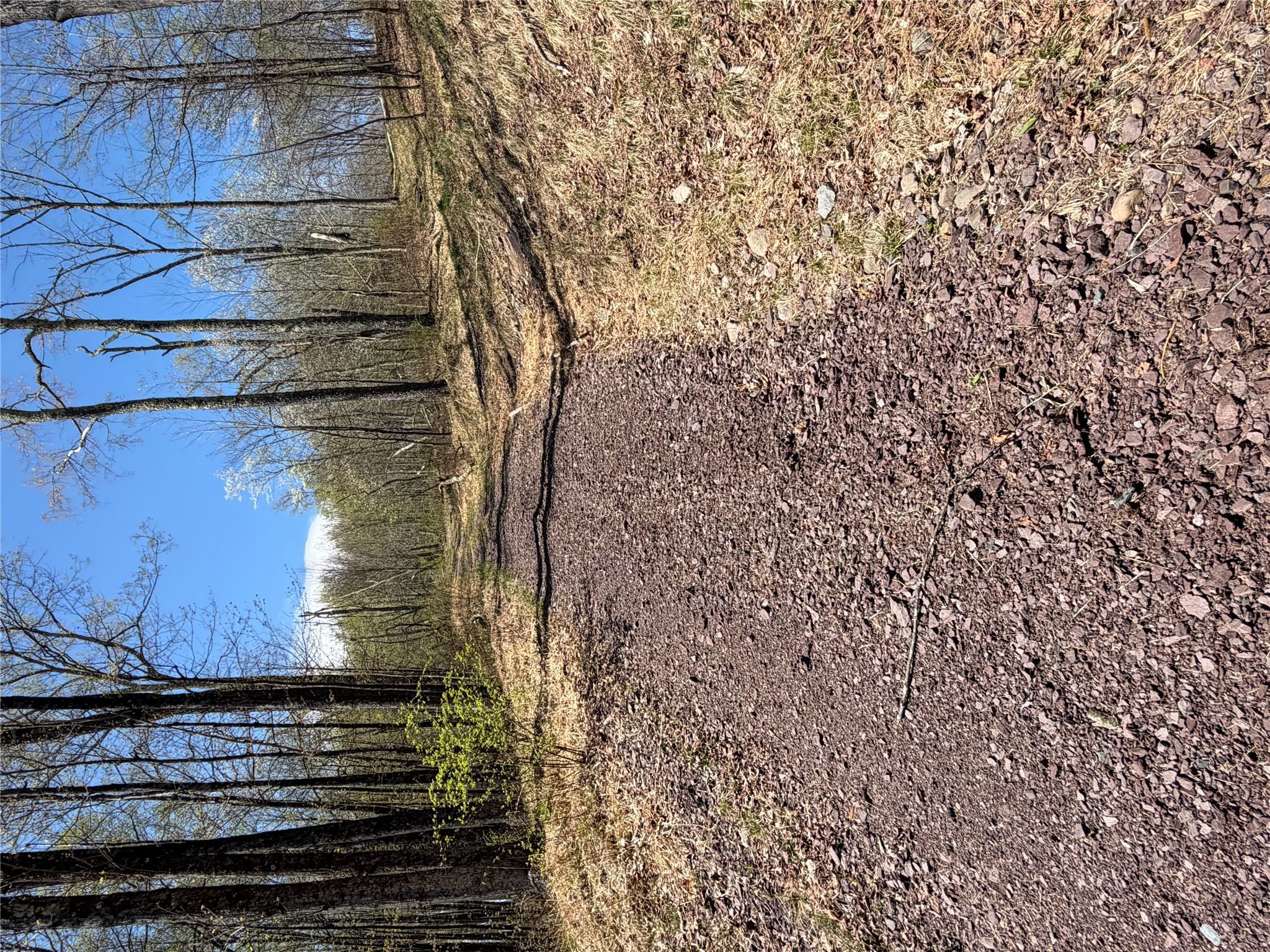 209 Stream Hollow Property Photo 5