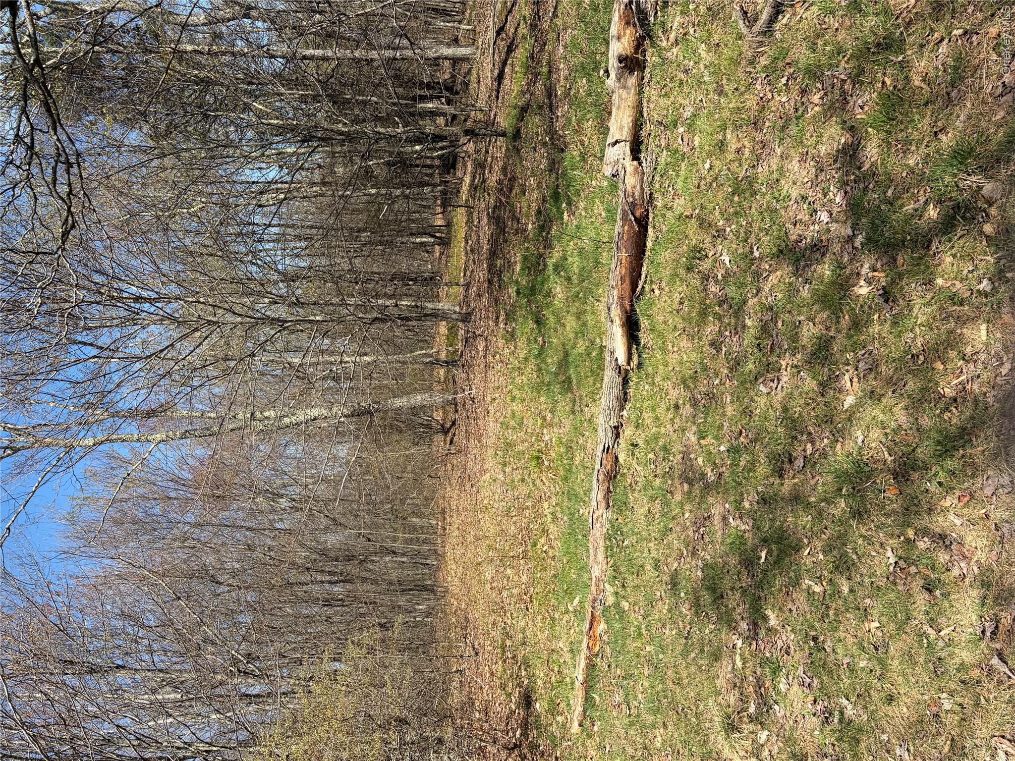 209 Stream Hollow Property Photo 7