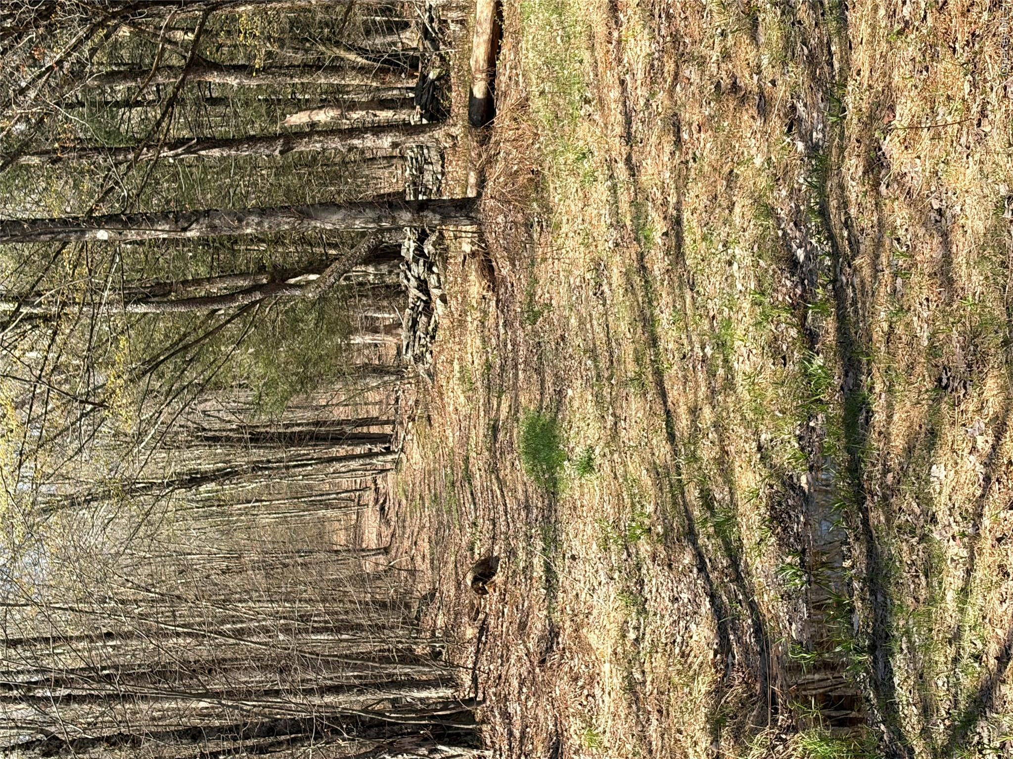 209 Stream Hollow Property Photo 9