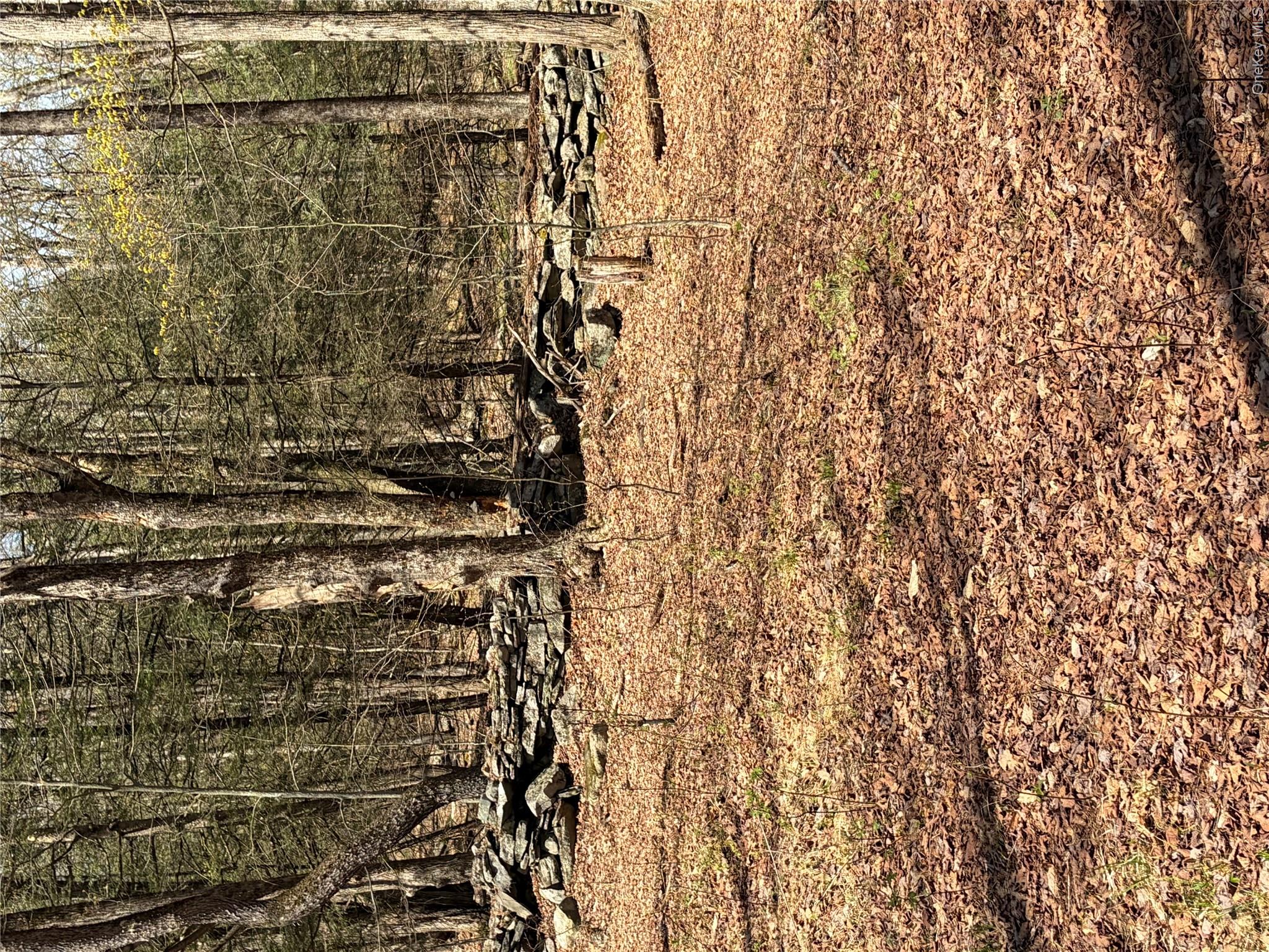 209 Stream Hollow Property Photo 10
