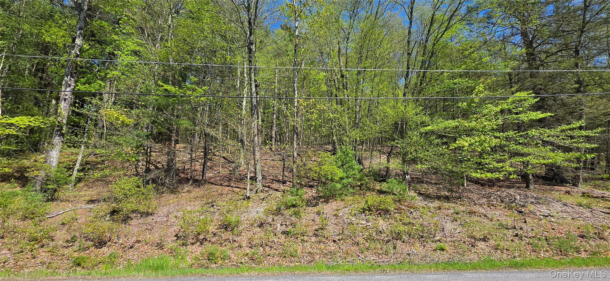 Hamilton Road Property Photo 2