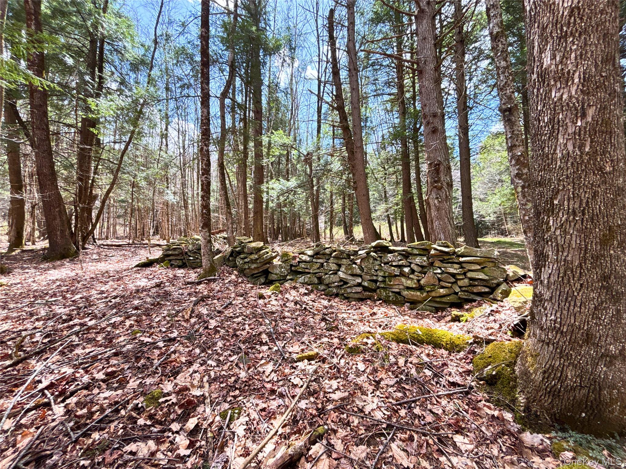 Lot 6.15 Little Beaver Creek Lane Property Photo 5