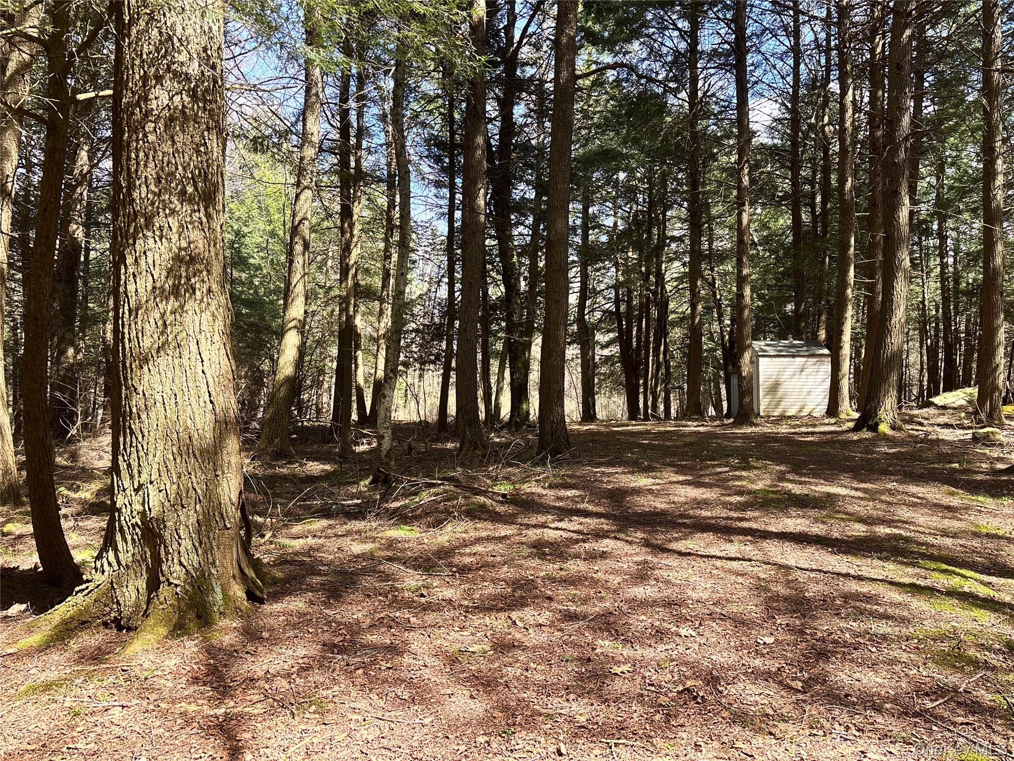 Lot 6.15 Little Beaver Creek Lane Property Photo 7