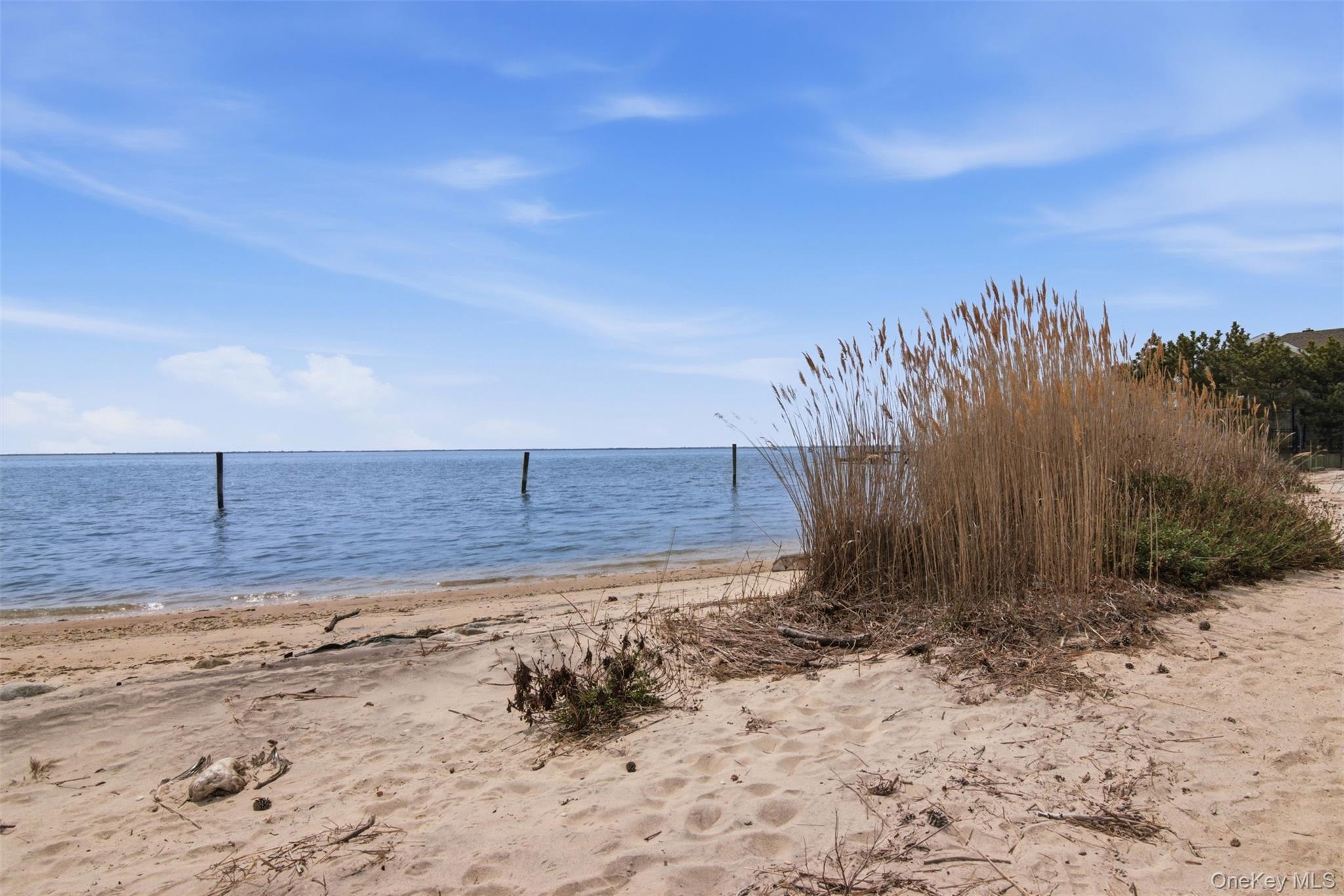 21 Shore Drive Property Photo 29