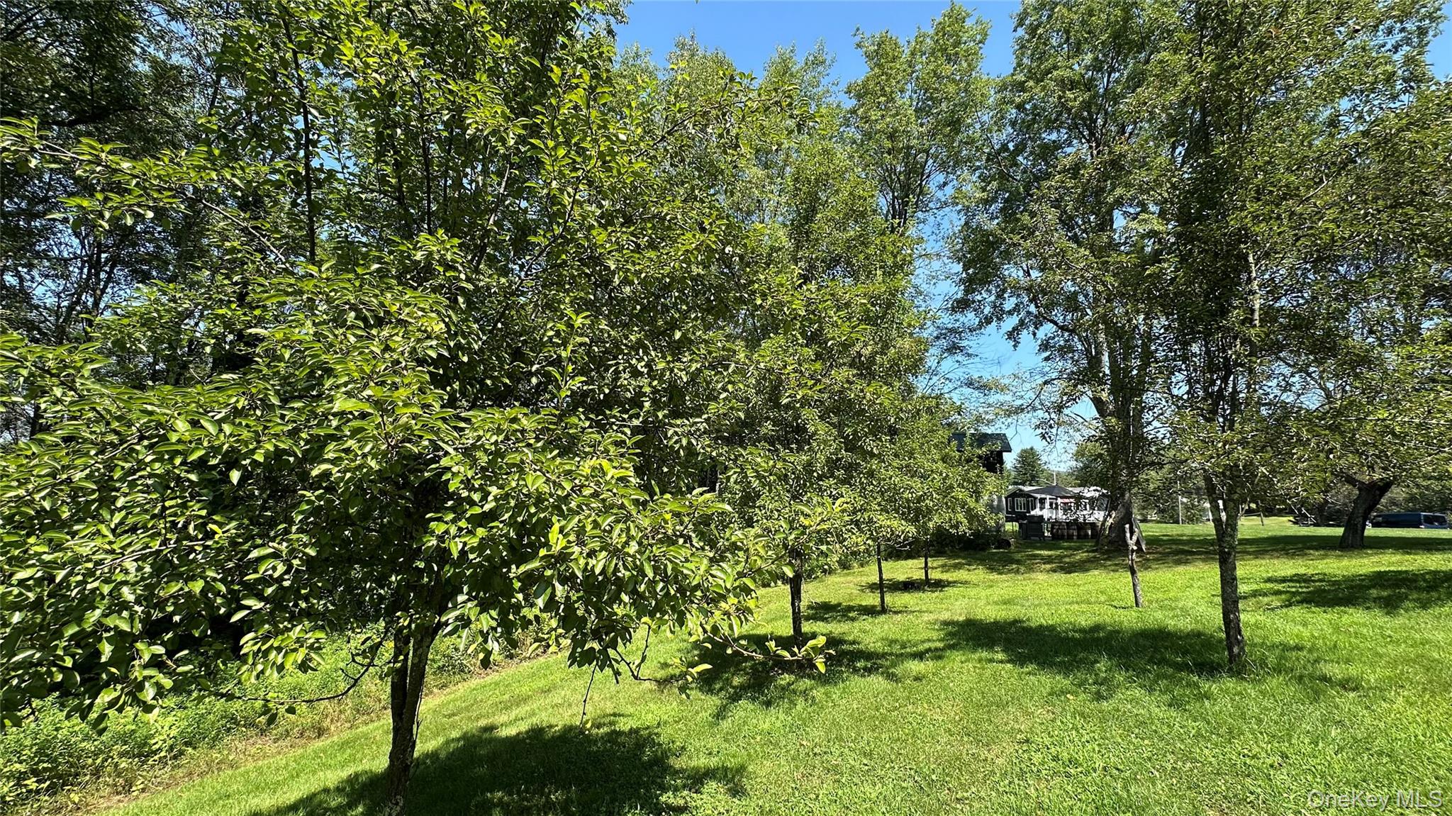 3377 State Route 52 Property Photo 39
