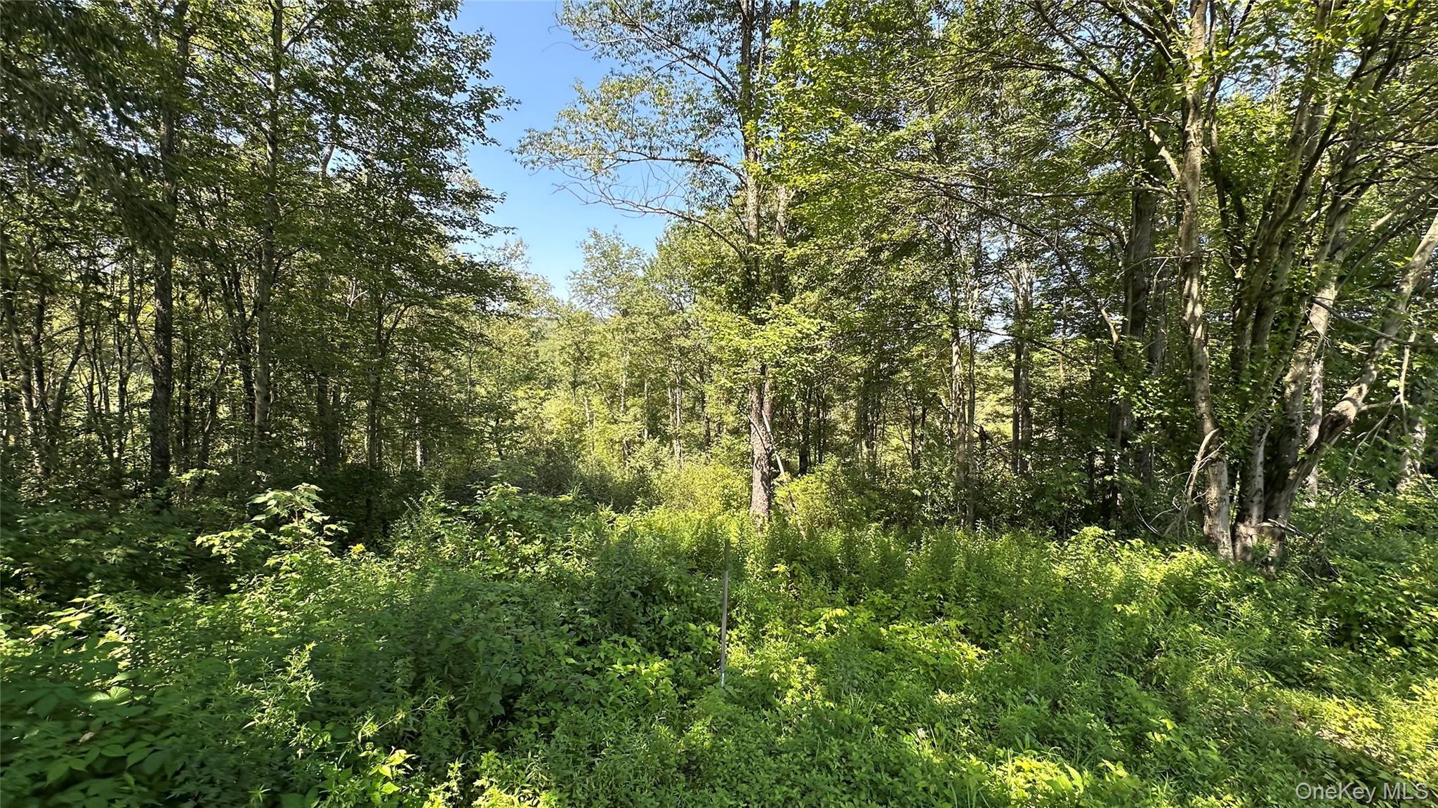 3377 State Route 52 Property Photo 40