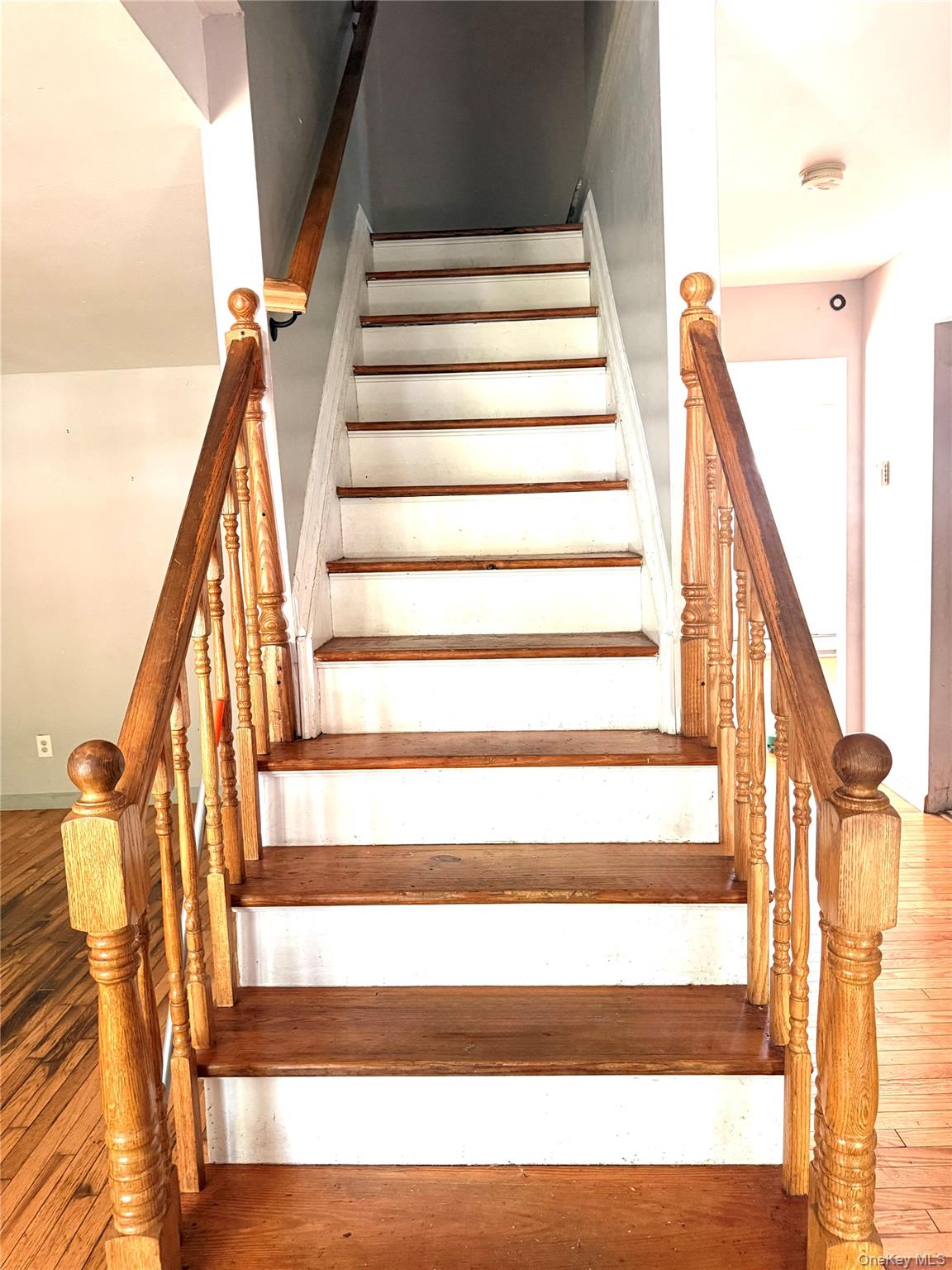 13 Hampton Avenue Property Photo 11