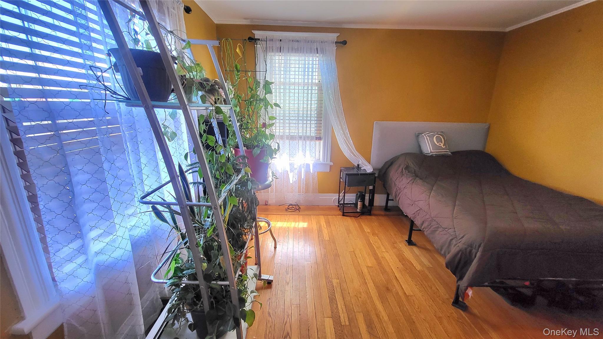 10 Corlies Avenue Property Photo 21