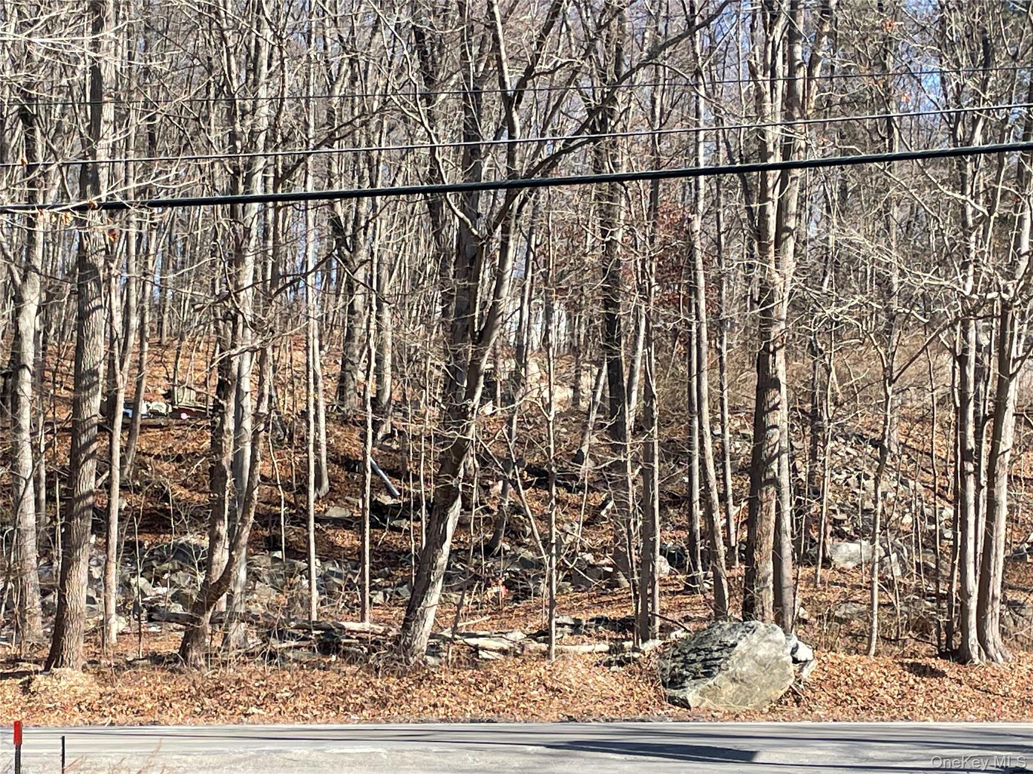 Route 52 Property Photo 3
