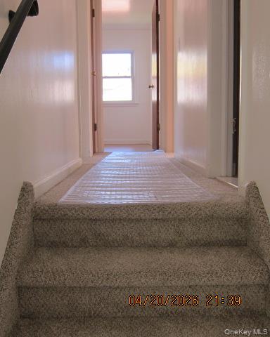 93 Woodview Road Property Photo 20