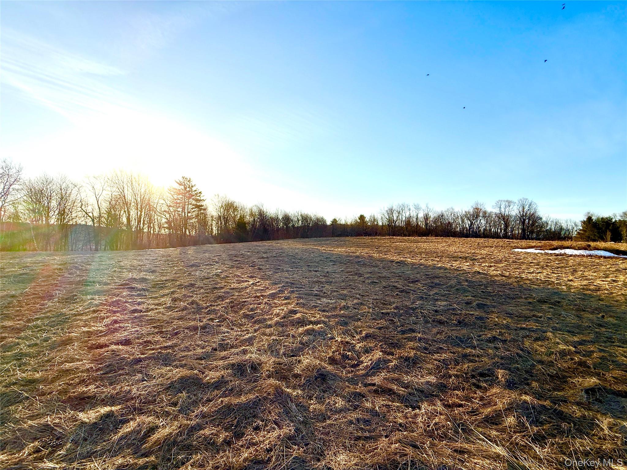 Tbd Snake Hill Road Property Photo 1