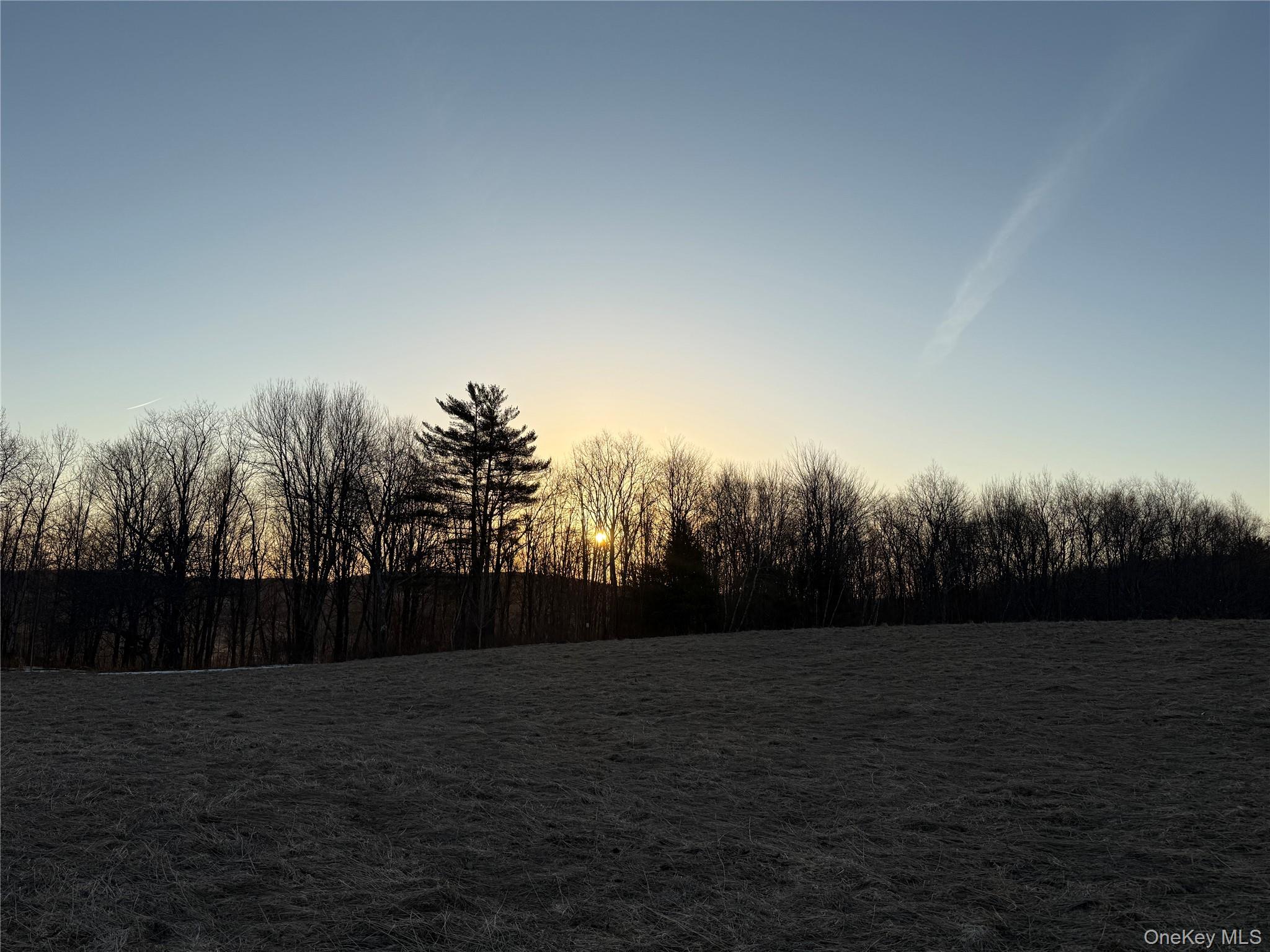 Tbd Snake Hill Road Property Photo 3