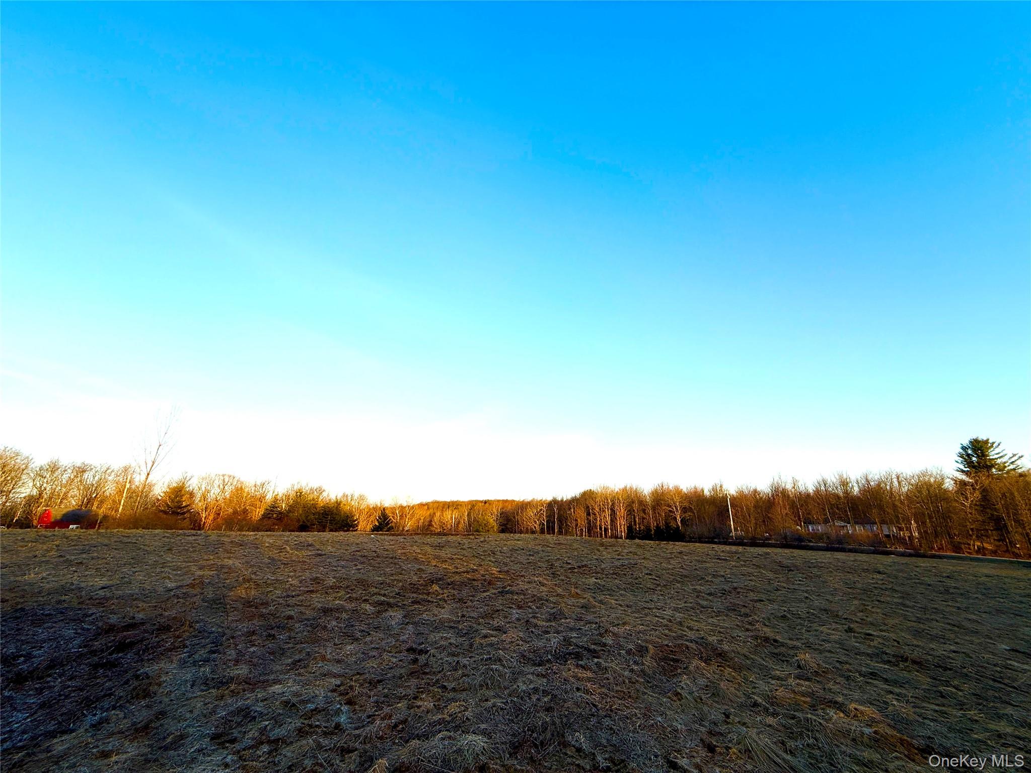 Tbd Snake Hill Road Property Photo 4