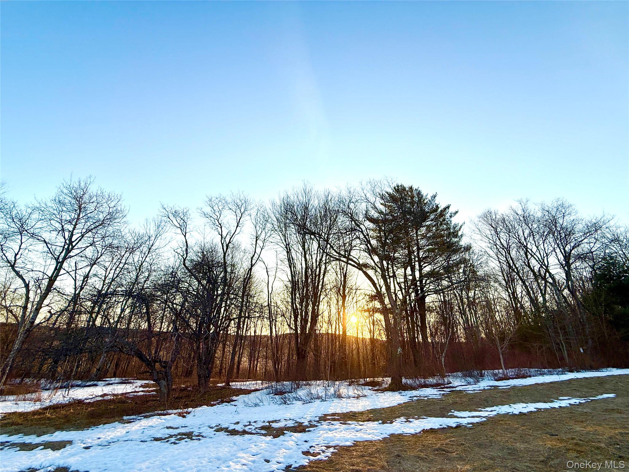 Tbd Snake Hill Road Property Photo 6