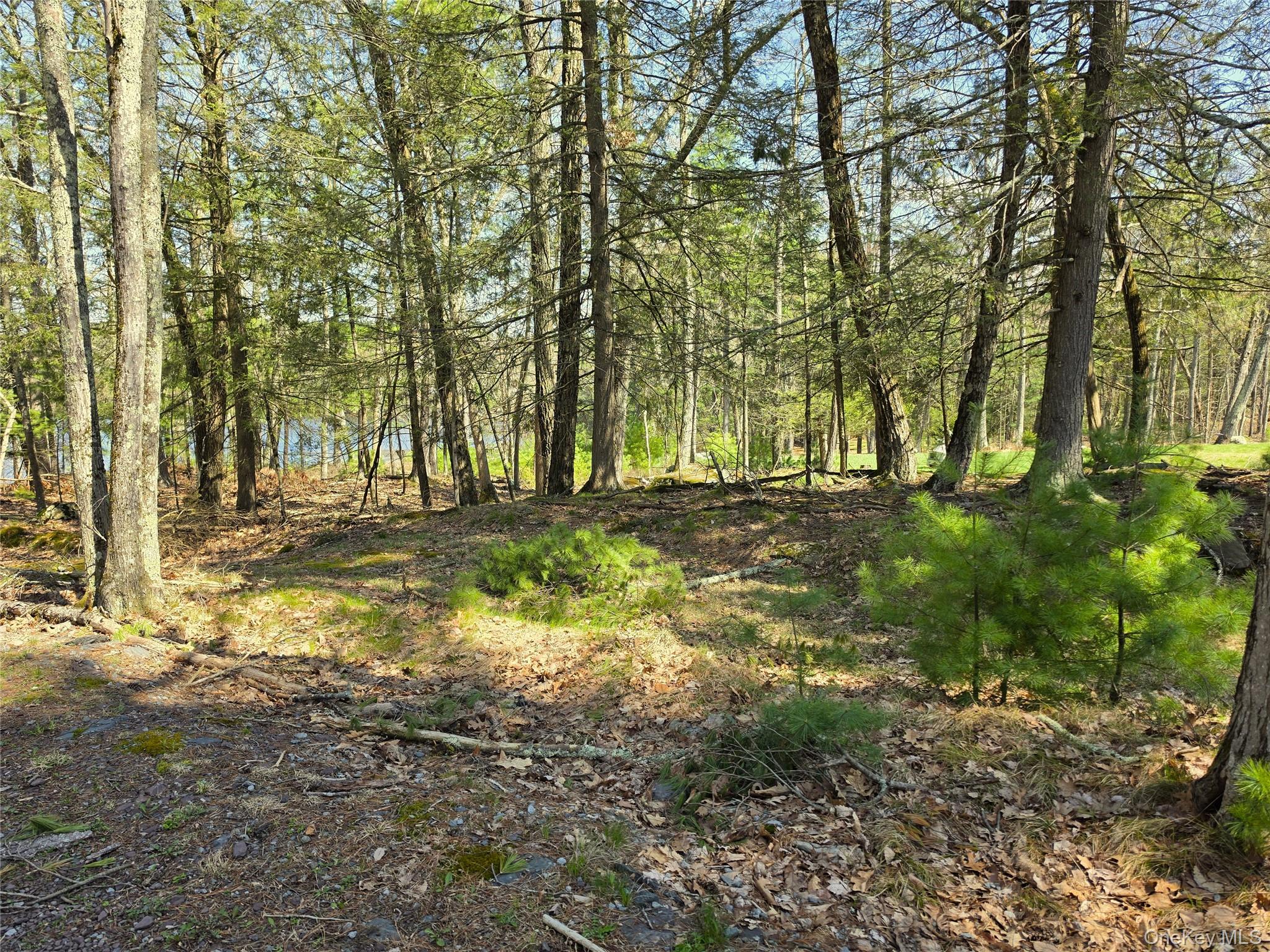 131 Highland Lake Road Property Photo 15