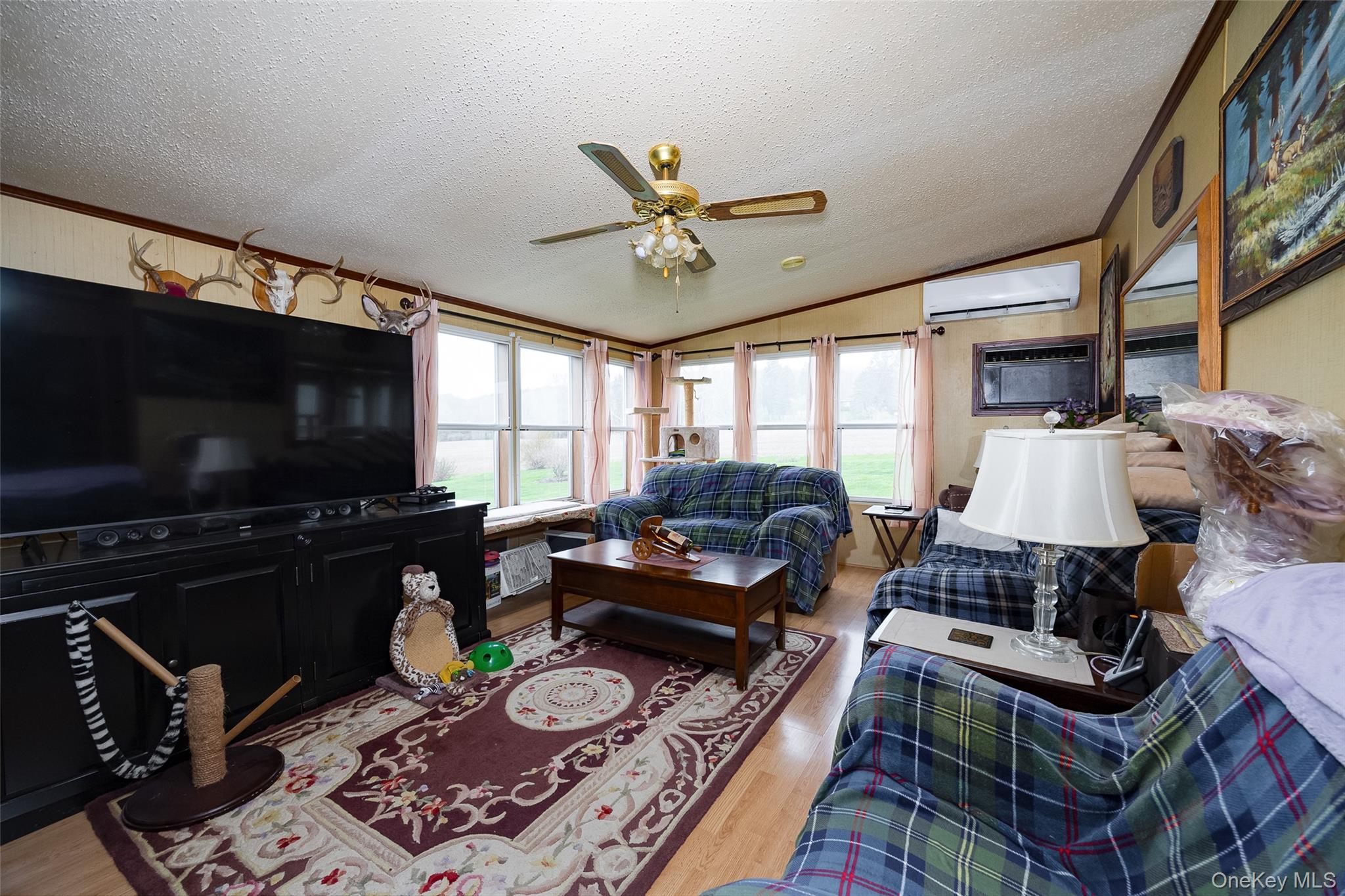 3838 Route 199 Property Photo 13