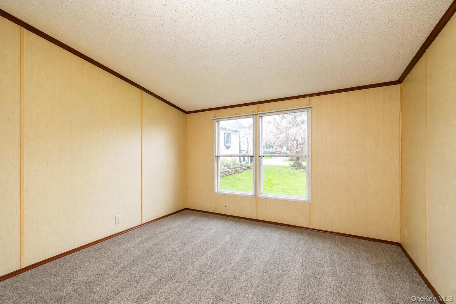 3838 Route 199 Property Photo 15