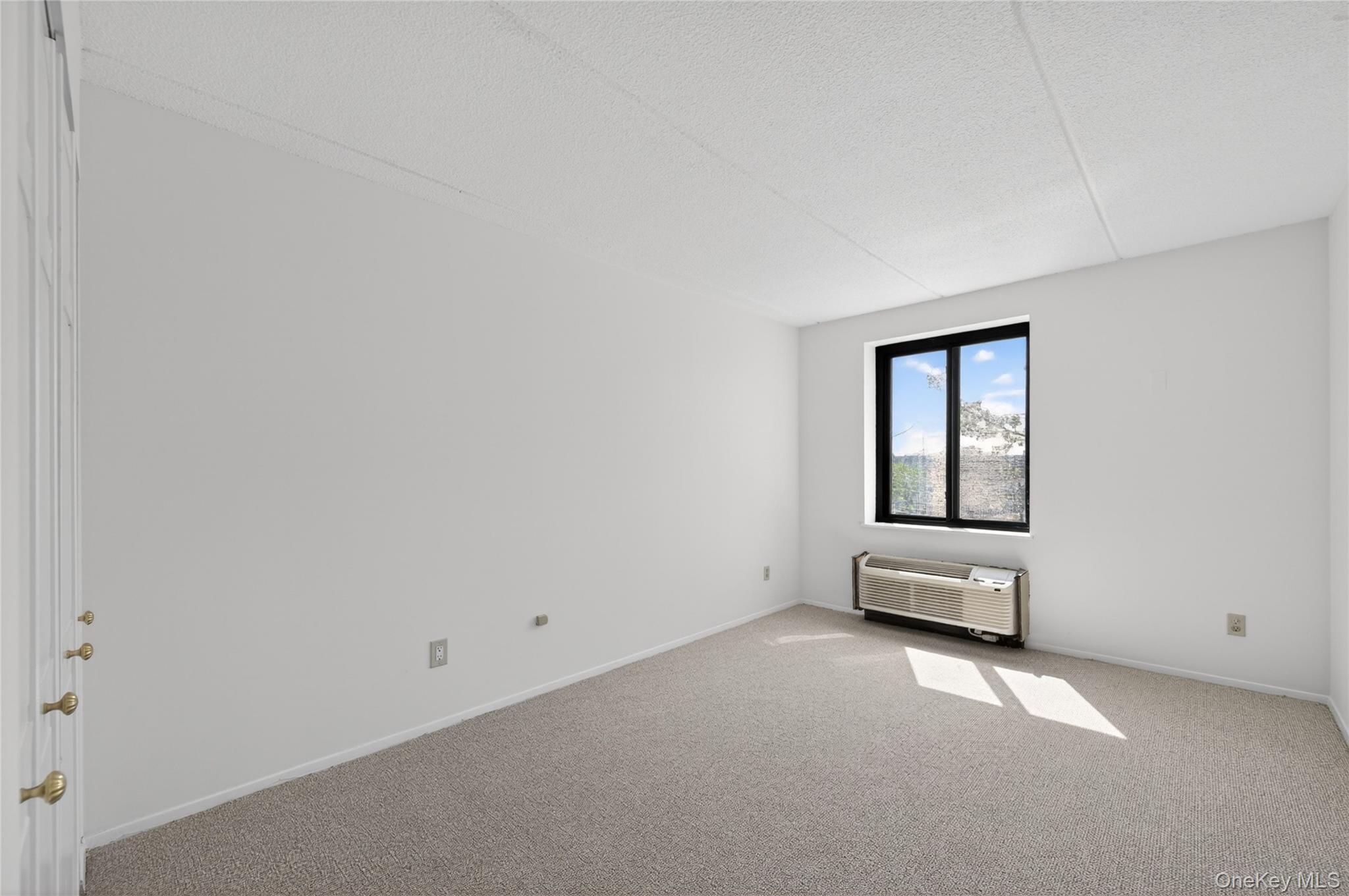 175 Maple Avenue 3g Property Photo 21