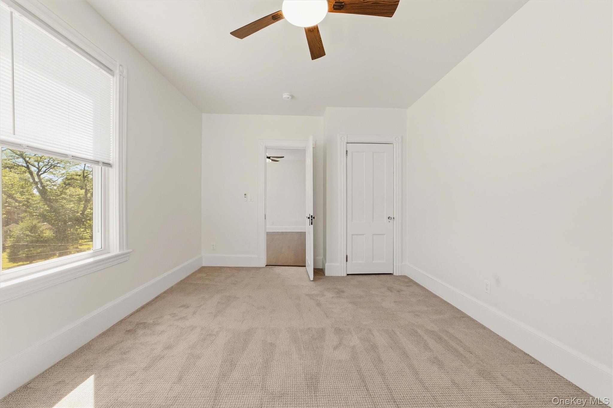 81 Woodland Avenue Property Photo 33