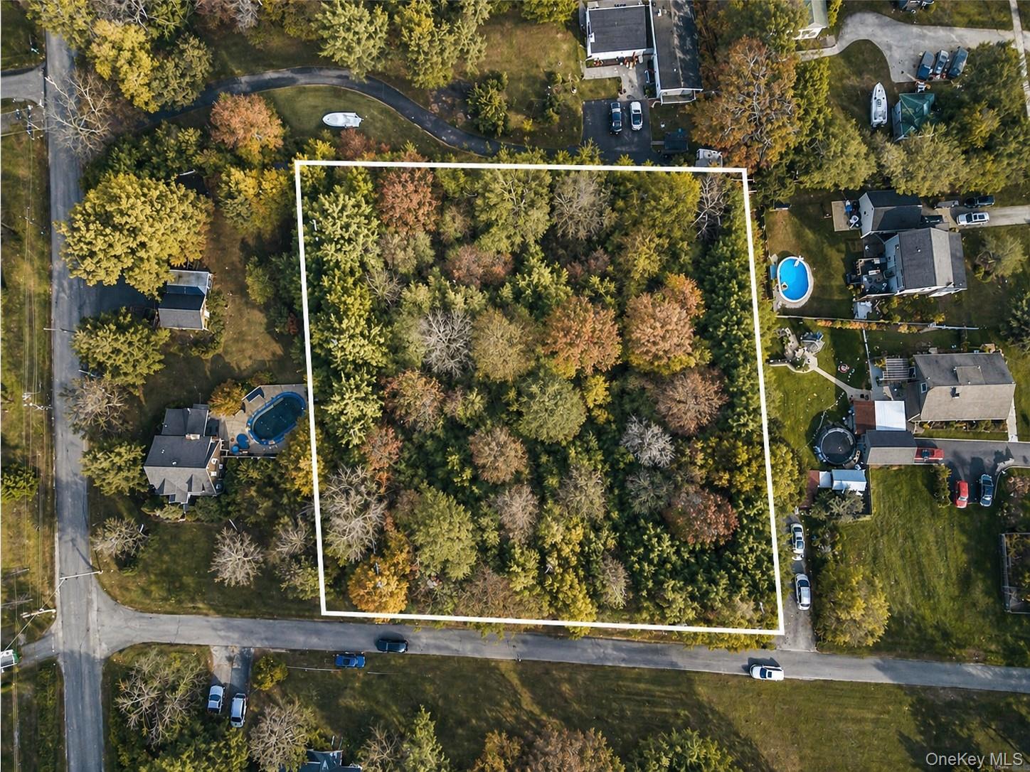 3 Patterson Avenue Property Photo 3