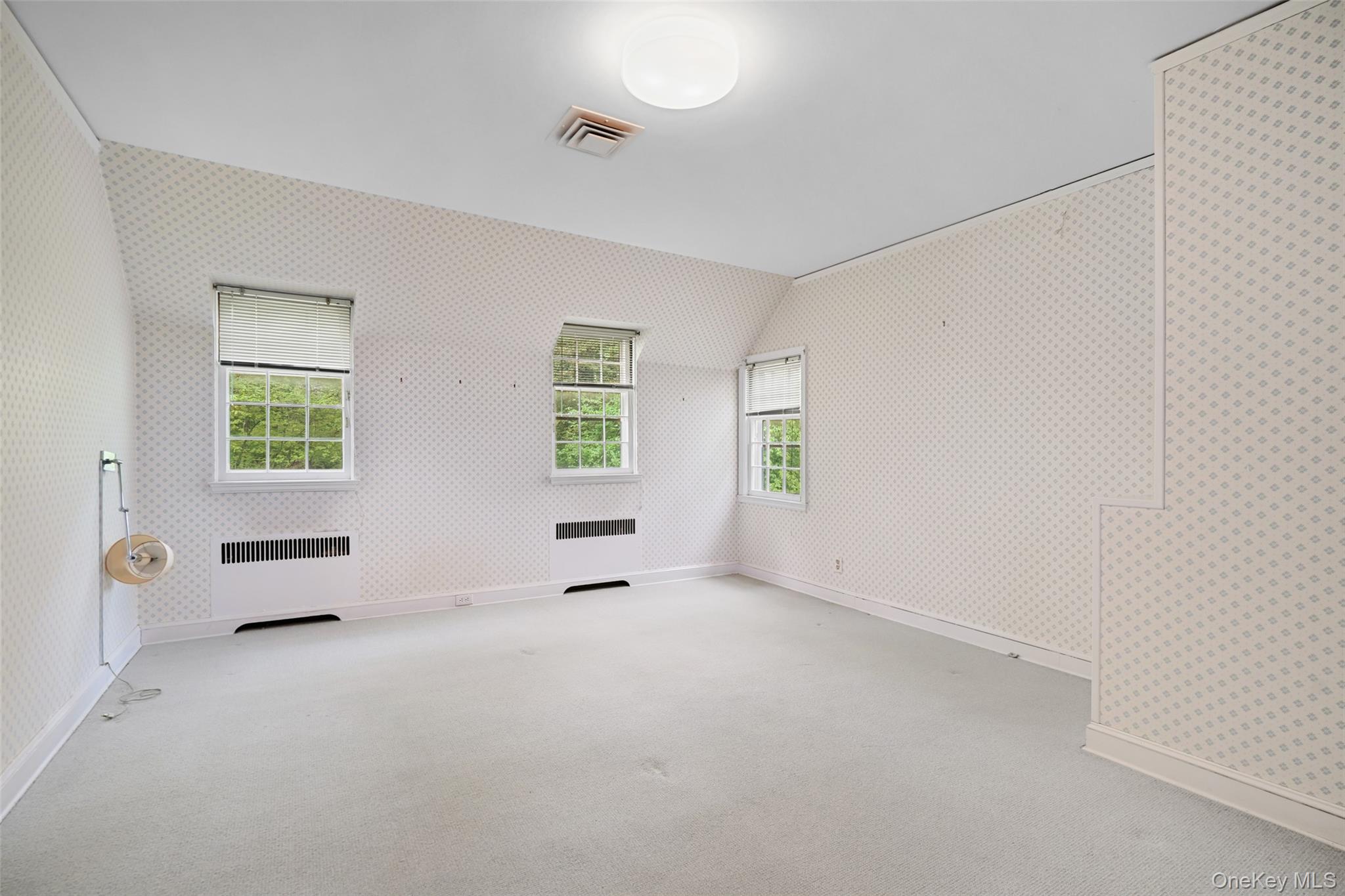 101 Woodlands Road Property Photo 10