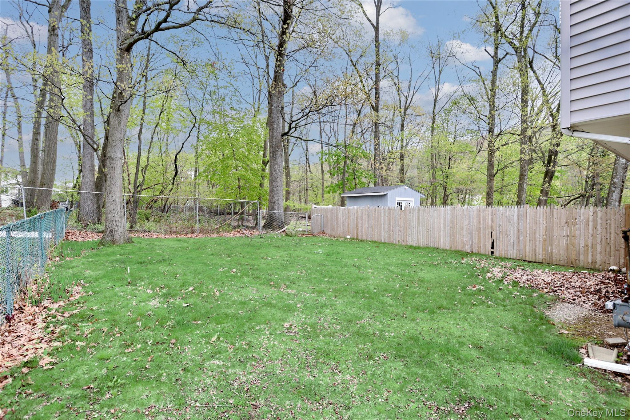 31 Lillian Street Property Photo 4