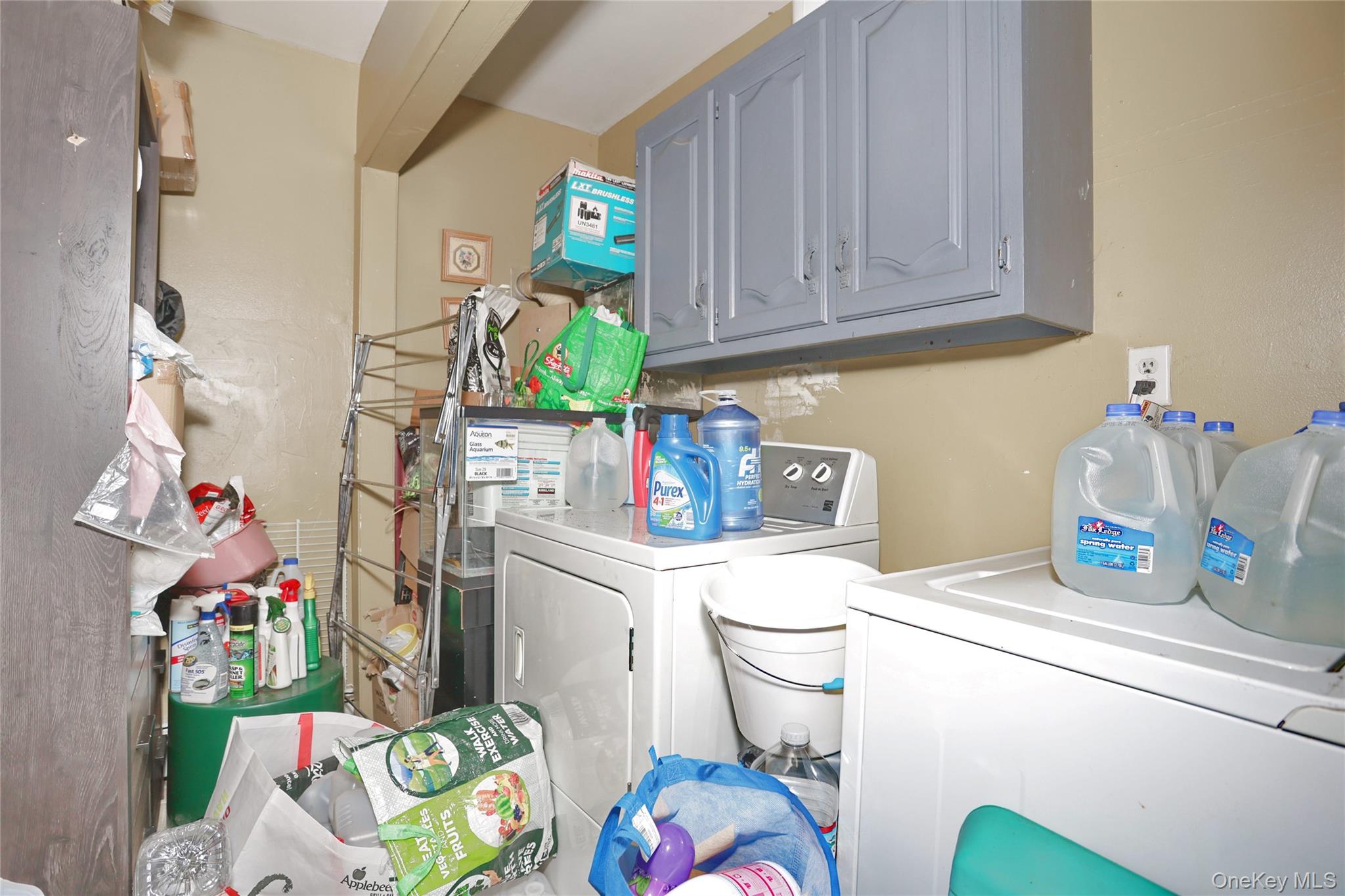 31 Lillian Street Property Photo 16