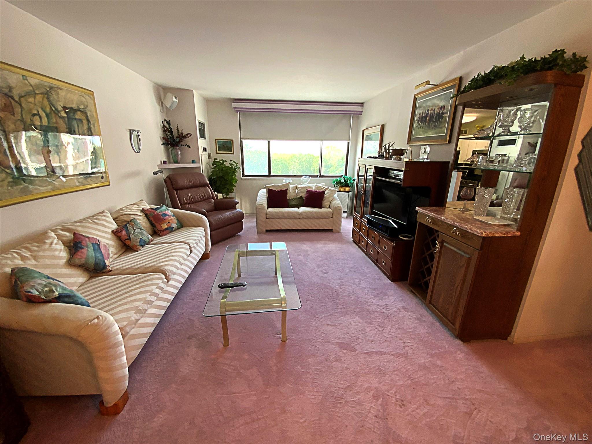 27010 Grand Central Parkway 2c Property Photo 6