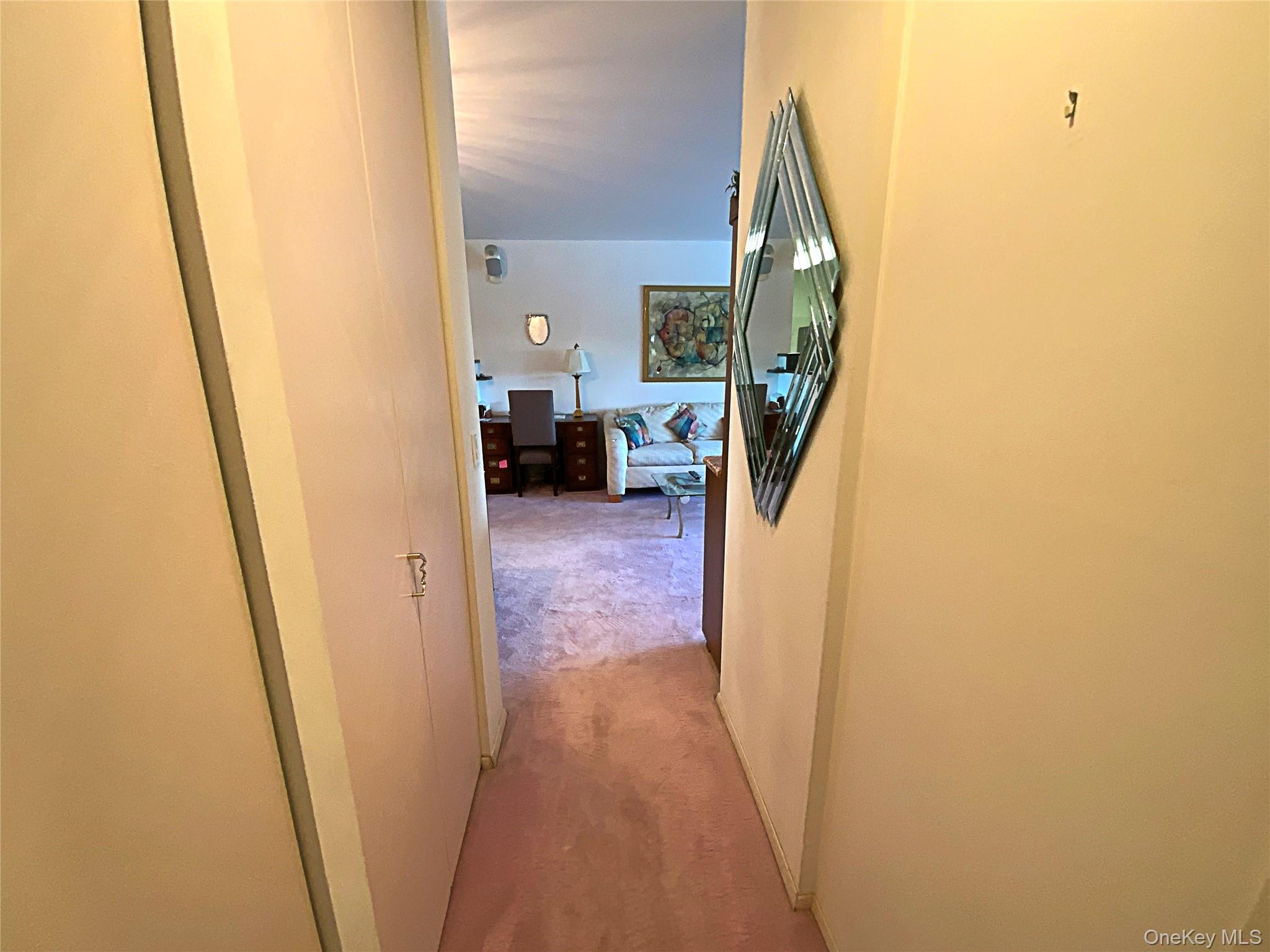 27010 Grand Central Parkway 2c Property Photo 9