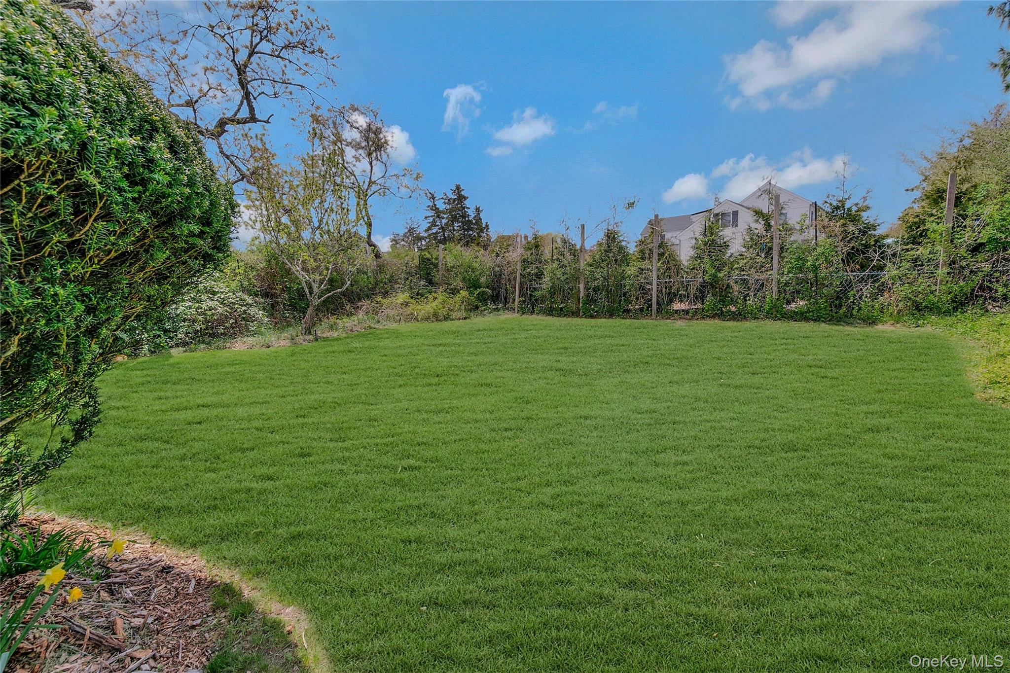 5a/5b Jessup Lane Property Photo 44