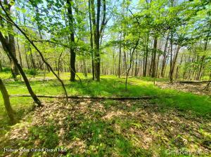 Tbd Piney Lane Property Photo 1