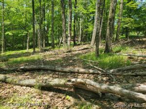 Tbd Piney Lane Property Photo 3