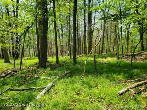 Tbd Piney Lane Property Photo 4