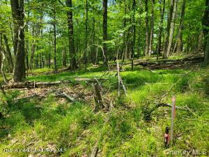 Tbd Piney Lane Property Photo 5