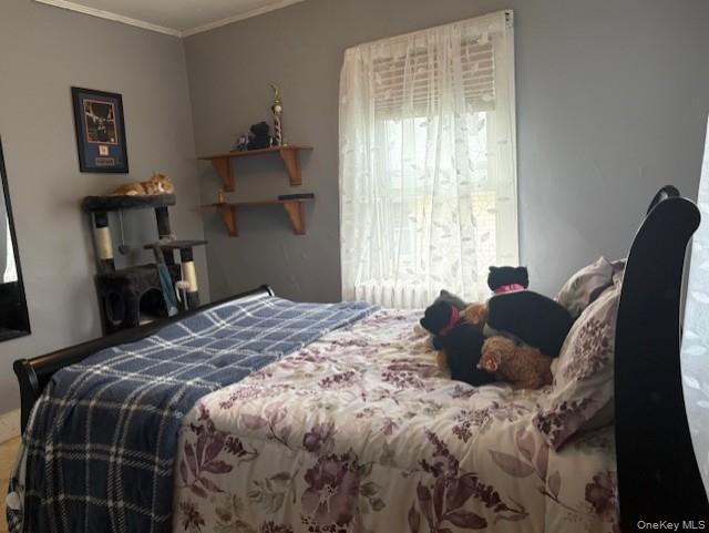 35 Boyce Street Property Photo 25