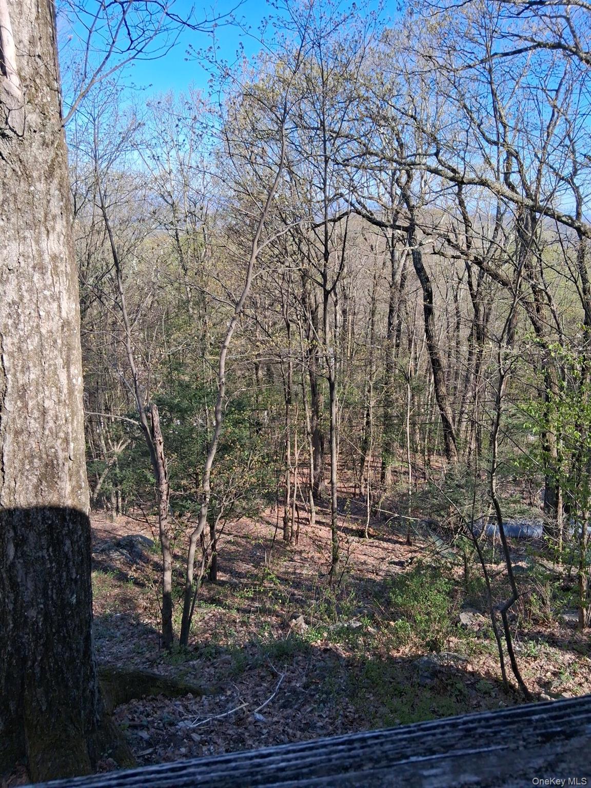 20 N Oakwood Trail Property Photo 4