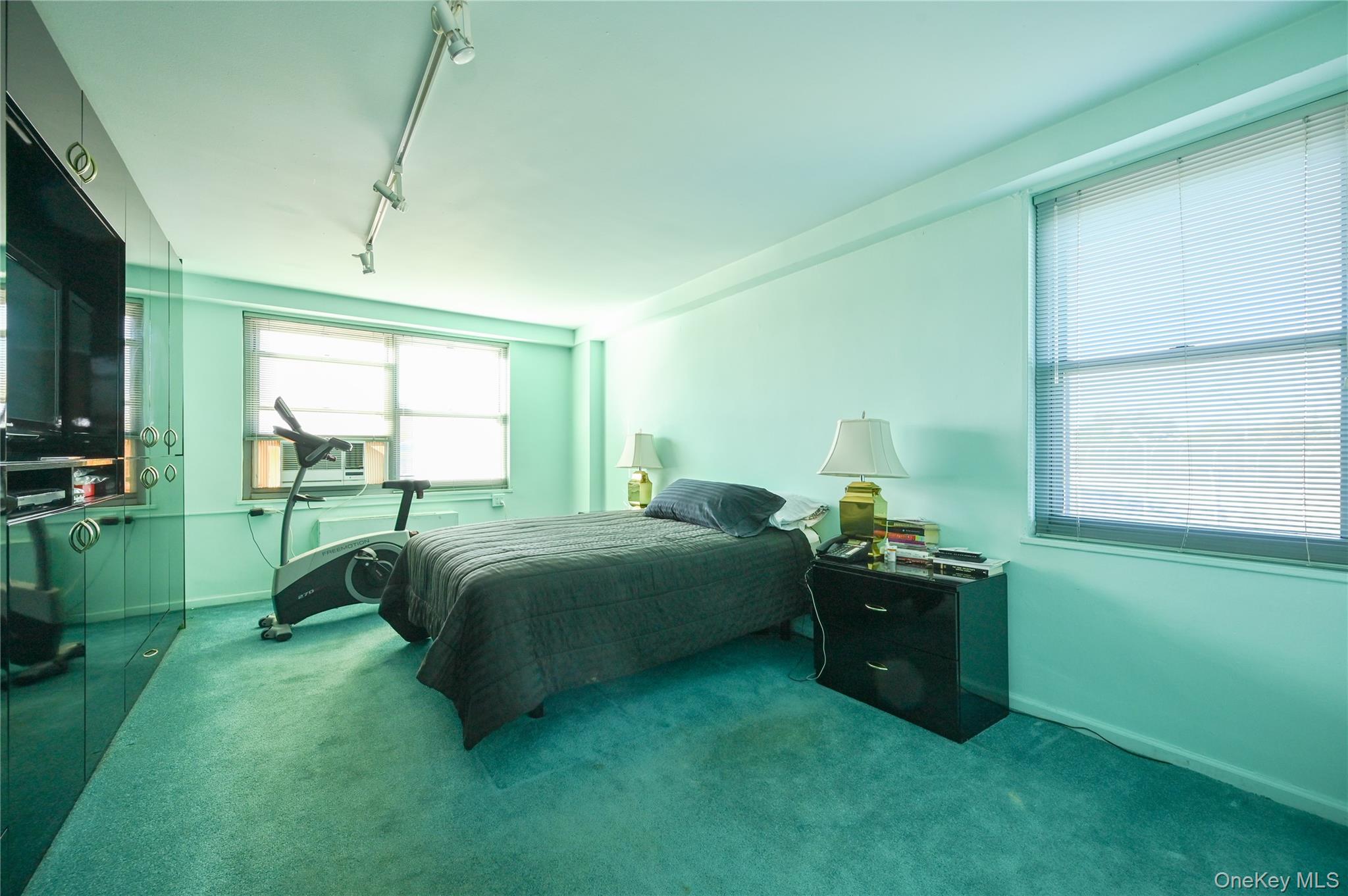 61-20 Grand Central Parkway C 306 Property Photo 15